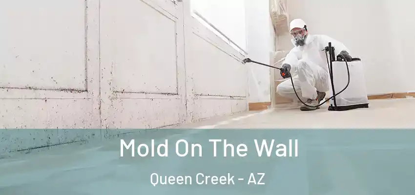  Mold On The Wall Queen Creek - AZ
