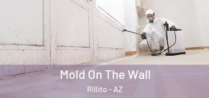 Mold On The Wall Rillito - AZ