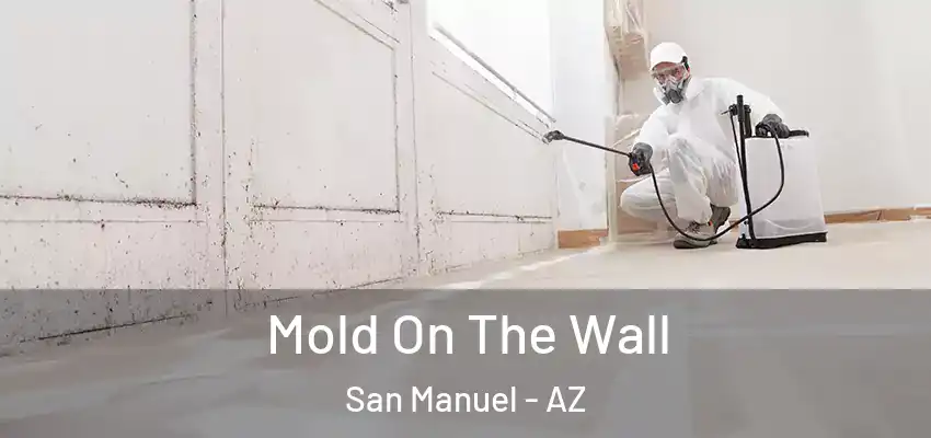 Mold On The Wall San Manuel - AZ