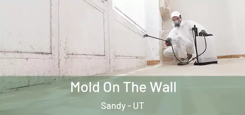 Mold On The Wall Sandy - UT