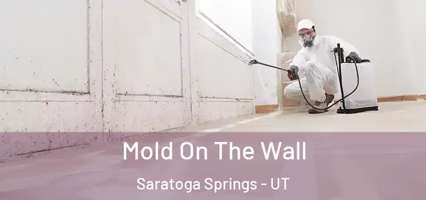  Mold On The Wall Saratoga Springs - UT