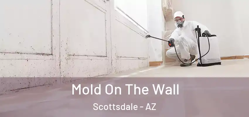 Mold On The Wall Scottsdale - AZ