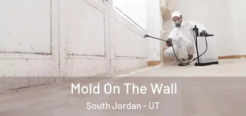  Mold On The Wall South Jordan - UT