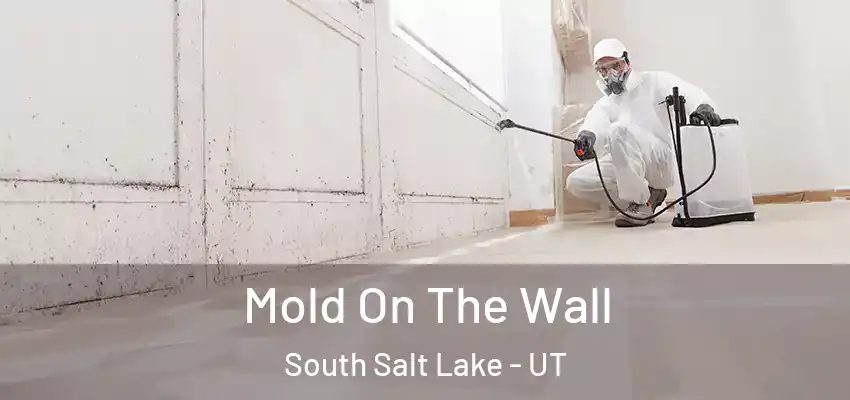  Mold On The Wall South Salt Lake - UT