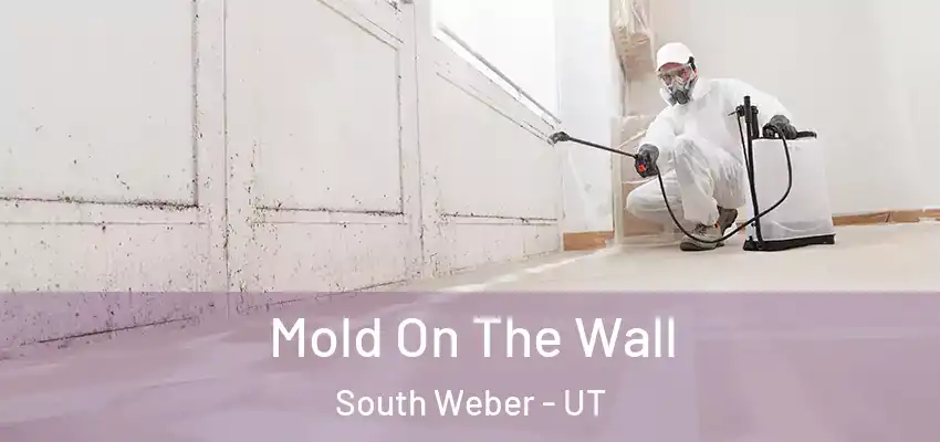  Mold On The Wall South Weber - UT