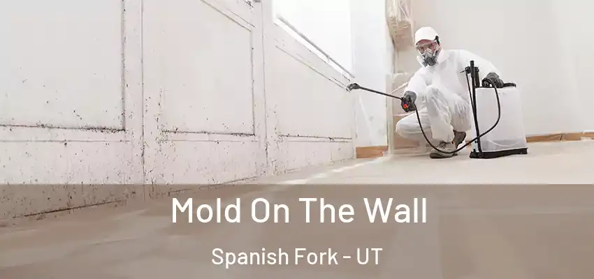  Mold On The Wall Spanish Fork - UT