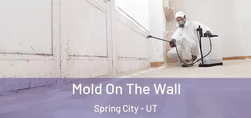  Mold On The Wall Spring City - UT
