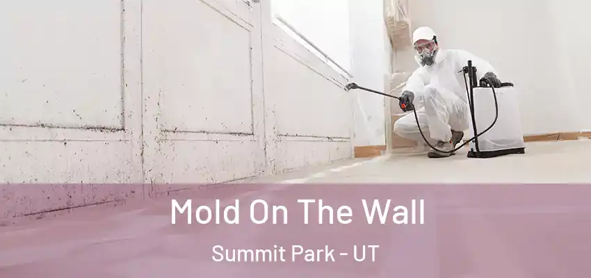  Mold On The Wall Summit Park - UT