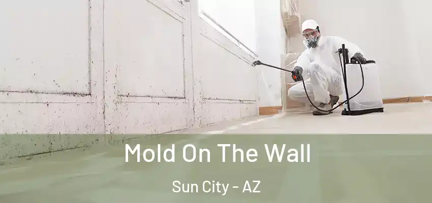 Mold On The Wall Sun City - AZ