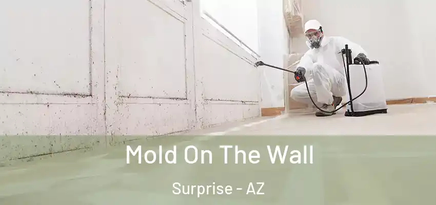  Mold On The Wall Surprise - AZ
