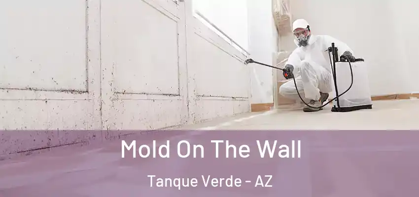  Mold On The Wall Tanque Verde - AZ