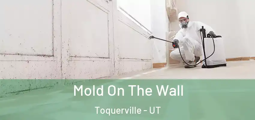  Mold On The Wall Toquerville - UT