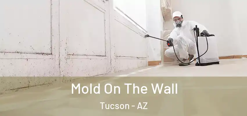  Mold On The Wall Tucson - AZ