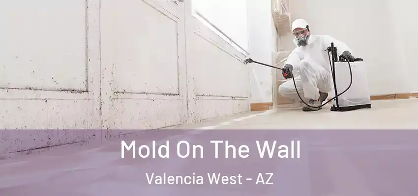Mold On The Wall Valencia West - AZ