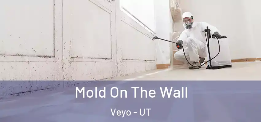  Mold On The Wall Veyo - UT