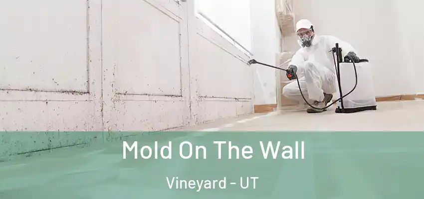  Mold On The Wall Vineyard - UT