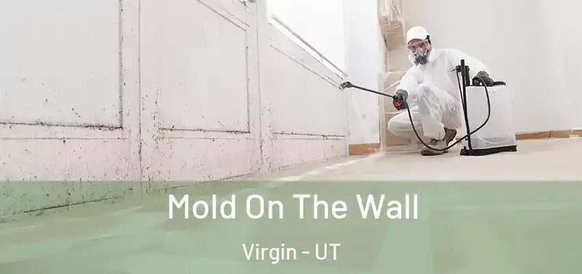  Mold On The Wall Virgin - UT