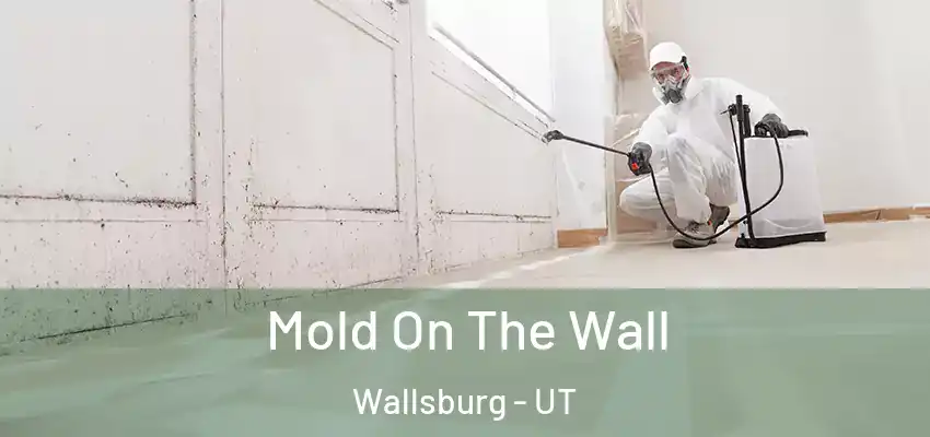 Mold On The Wall Wallsburg - UT