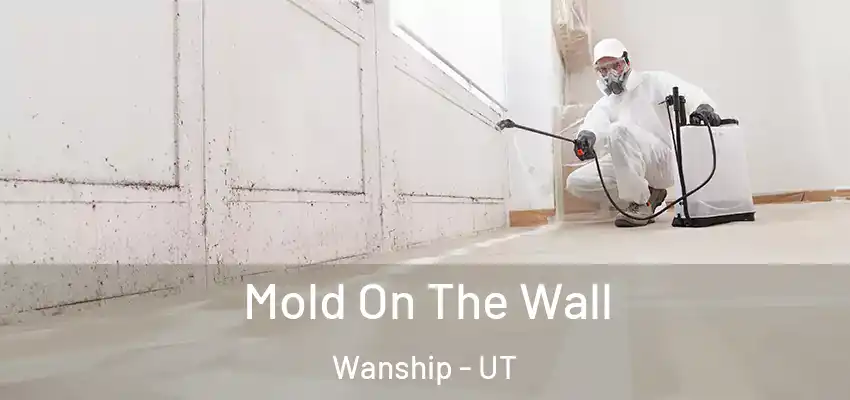  Mold On The Wall Wanship - UT