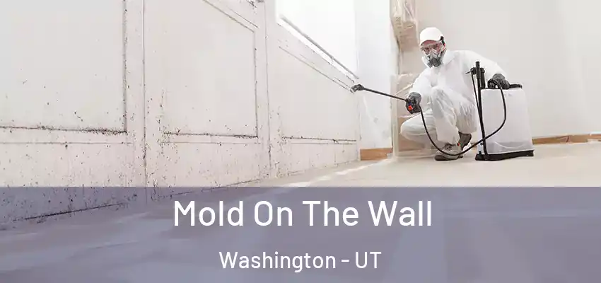  Mold On The Wall Washington - UT