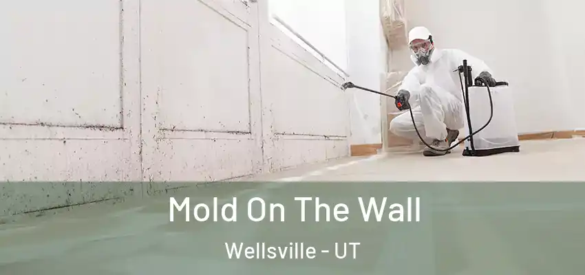  Mold On The Wall Wellsville - UT