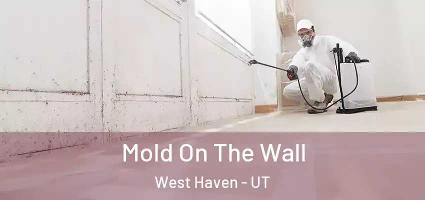  Mold On The Wall West Haven - UT