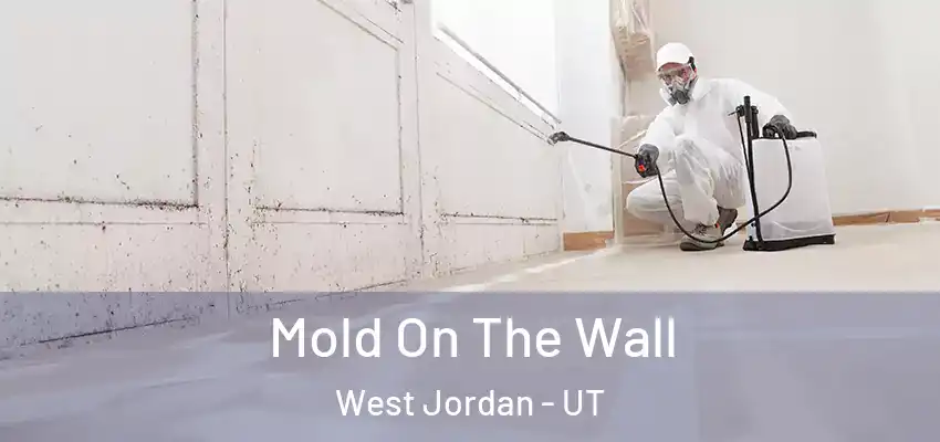  Mold On The Wall West Jordan - UT