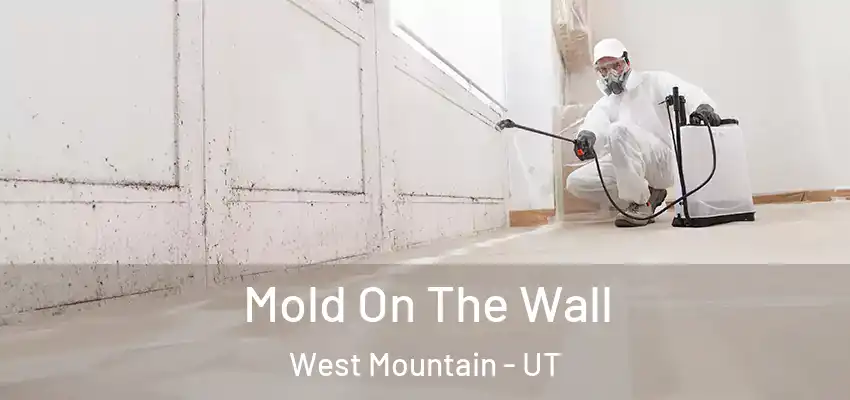  Mold On The Wall West Mountain - UT
