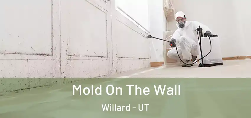  Mold On The Wall Willard - UT