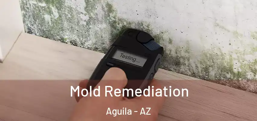  Mold Remediation Aguila - AZ