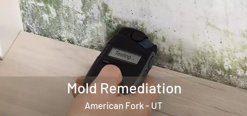 Mold Remediation American Fork - UT