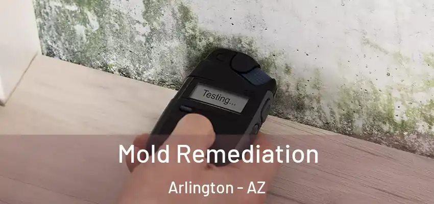  Mold Remediation Arlington - AZ