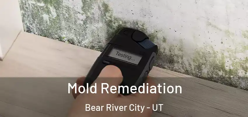  Mold Remediation Bear River City - UT