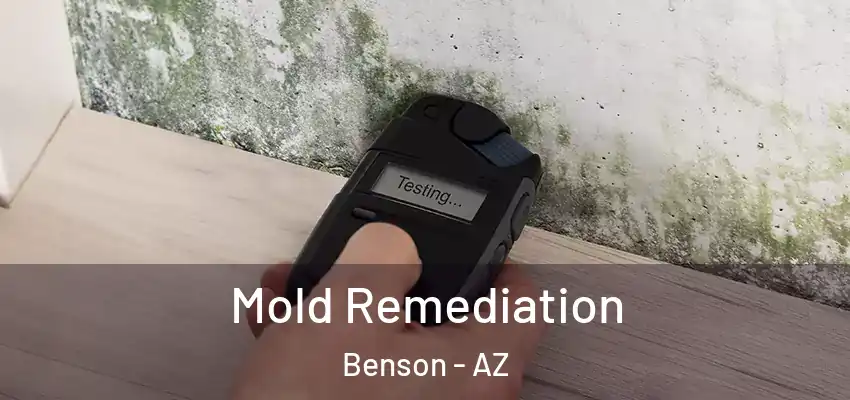  Mold Remediation Benson - AZ