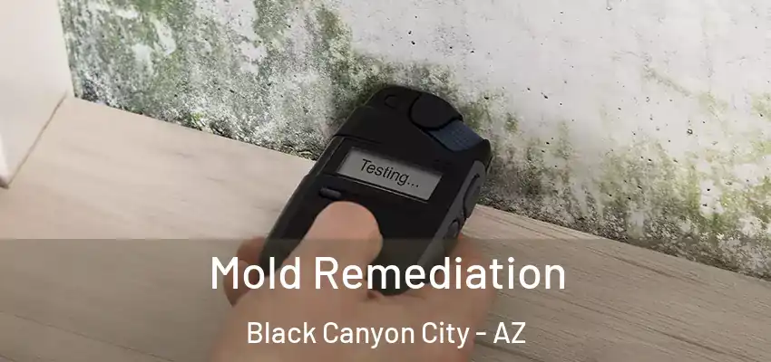  Mold Remediation Black Canyon City - AZ