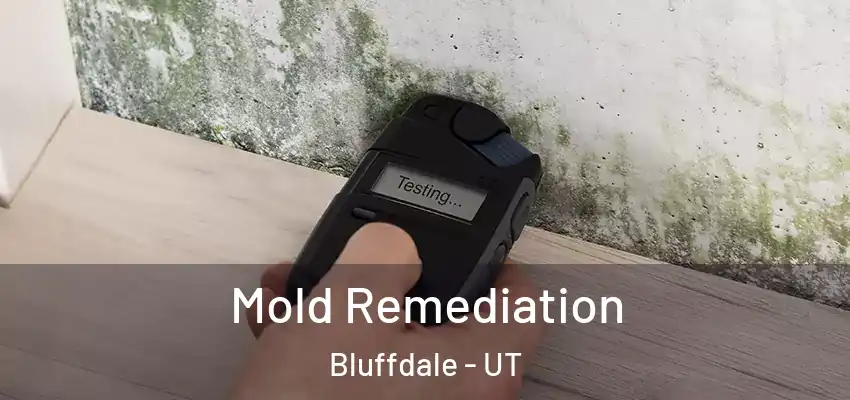  Mold Remediation Bluffdale - UT