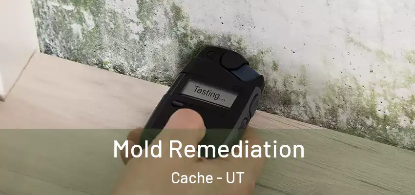  Mold Remediation Cache - UT