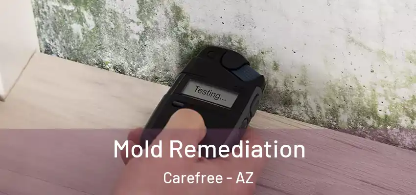  Mold Remediation Carefree - AZ