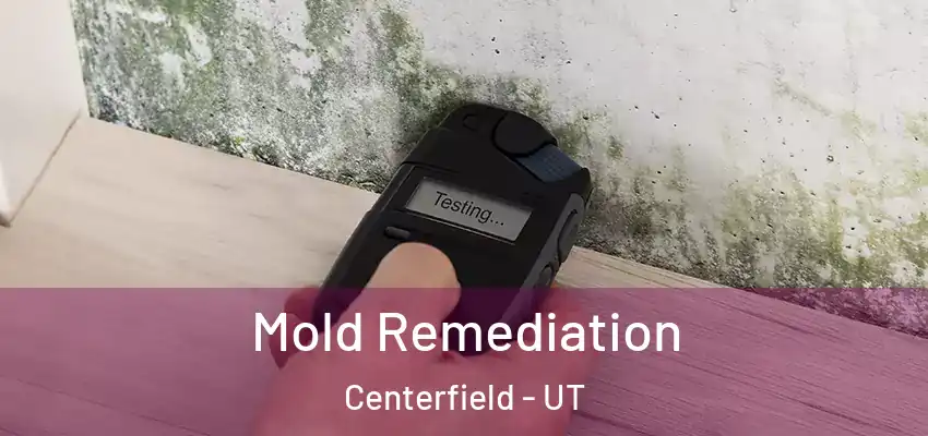  Mold Remediation Centerfield - UT
