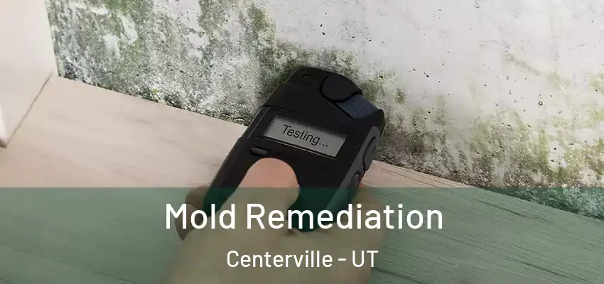  Mold Remediation Centerville - UT