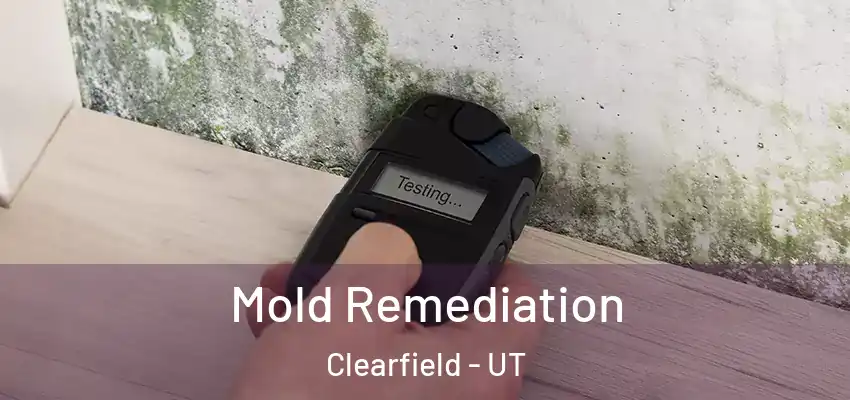  Mold Remediation Clearfield - UT