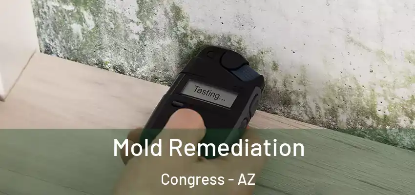  Mold Remediation Congress - AZ