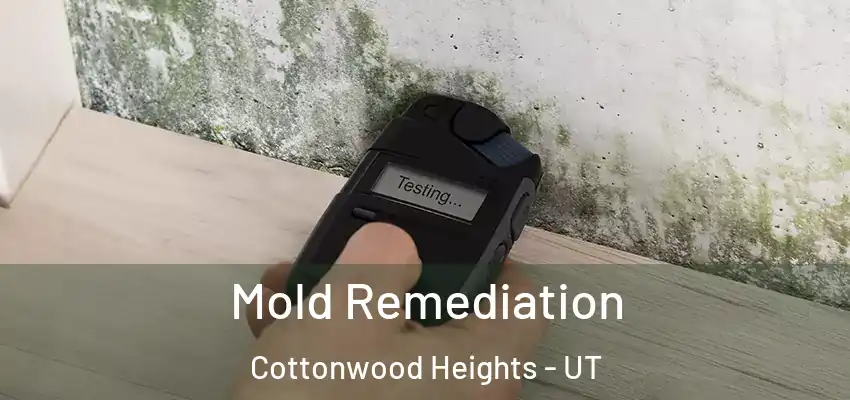  Mold Remediation Cottonwood Heights - UT