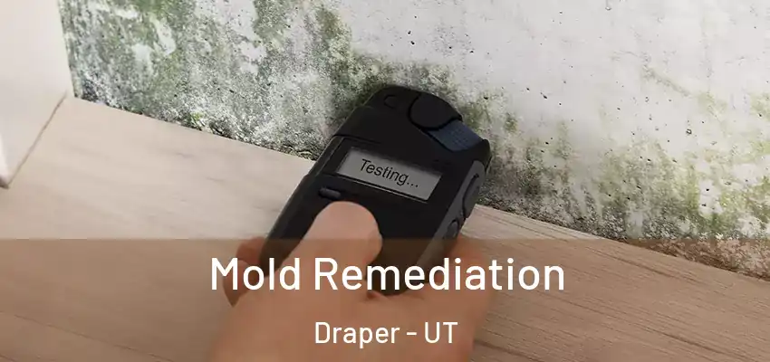  Mold Remediation Draper - UT