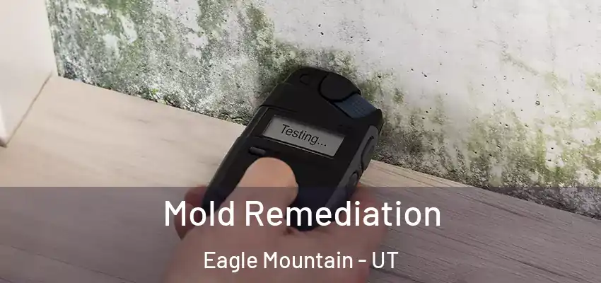  Mold Remediation Eagle Mountain - UT