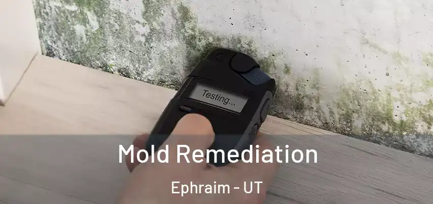  Mold Remediation Ephraim - UT