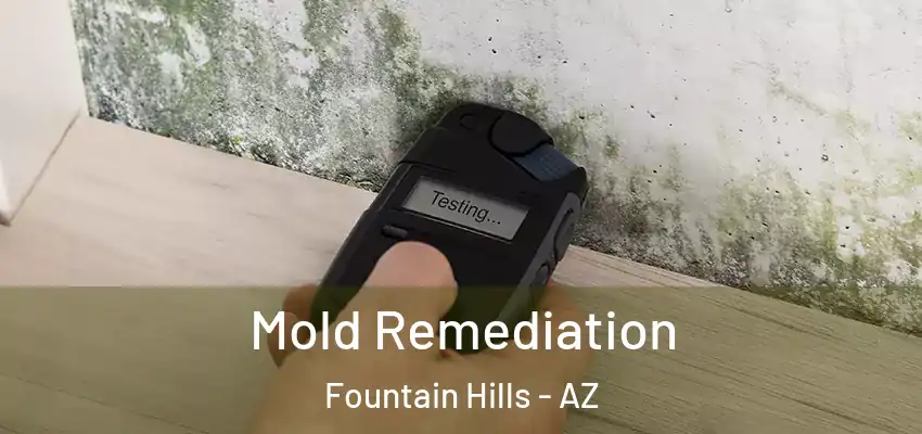  Mold Remediation Fountain Hills - AZ