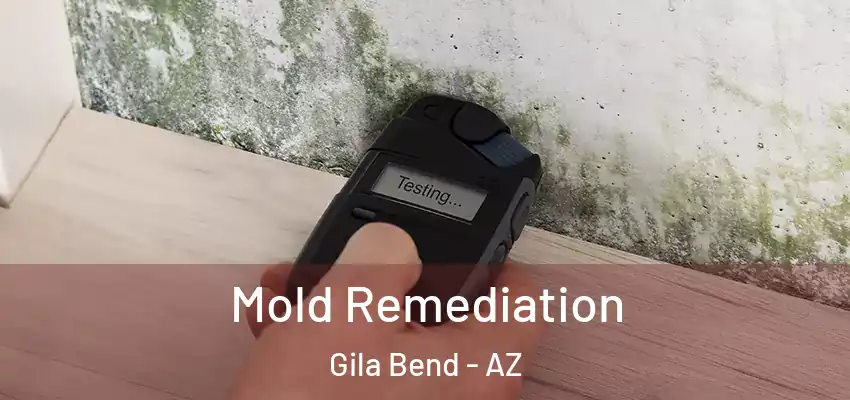  Mold Remediation Gila Bend - AZ