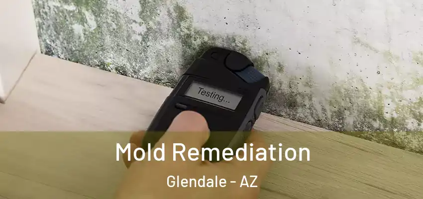 Mold Remediation Glendale - AZ
