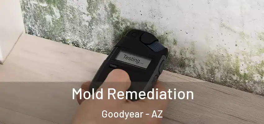 Mold Remediation Goodyear - AZ